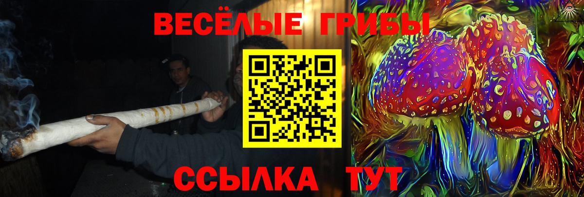 Псилоцибиновые грибы прущие грибы  Псилоцибиновые грибы MAGIC MUSHROOMS  Вход с VPN  купить закладку  Заринск 